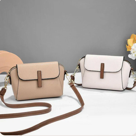 Caliban Women Handbag (BUY 1 GET 1 FREE)